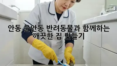 안동 운안동 반려동물과 함께하는 깨끗한 집 만들기