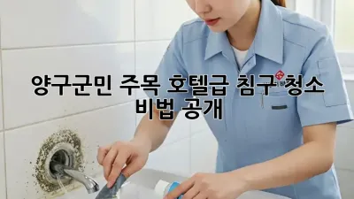 양구군민 주목! 호텔급 침구 청소 비법 공개 🛌✨